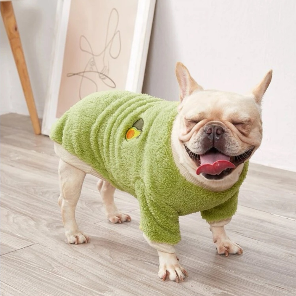 Avocado Patched Dog Plush Sweatshirt 🐕